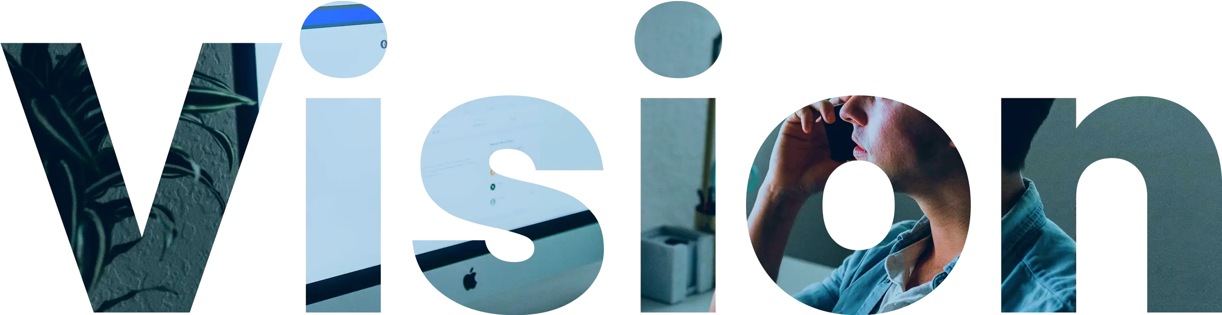 Animarise Vision Background